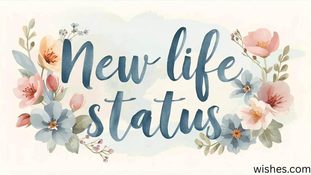 New Life Status in english