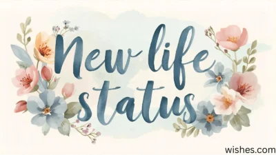 New Life Status in english