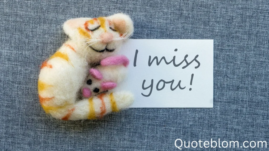 Funny I Miss You Wishes