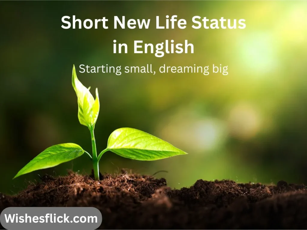 Short New Life Status in English